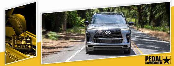 PC51 / Infiniti / QX80 / Z62 フェイスリフト (2018-2024) / (5.6L V8)