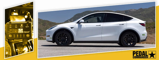 PC81 / Tesla / Model Y / All Bodies (2020+) / (Electric)