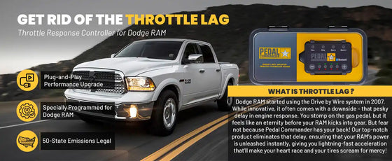PC31 / ダッジ / RAM / DR-DH-D1-DC-DM (2007-2010) / (3.0L ディーゼル-3.6L-3.7L-4.7L)
