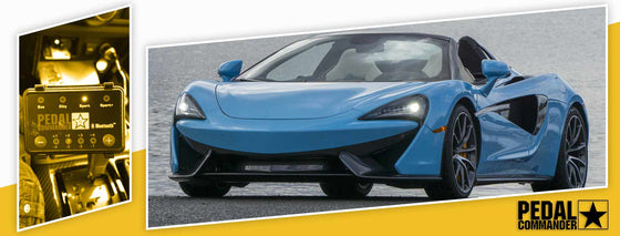 PC08 / マクラーレン / 570s / 第 1 世代 (2015+) / (3.8L)