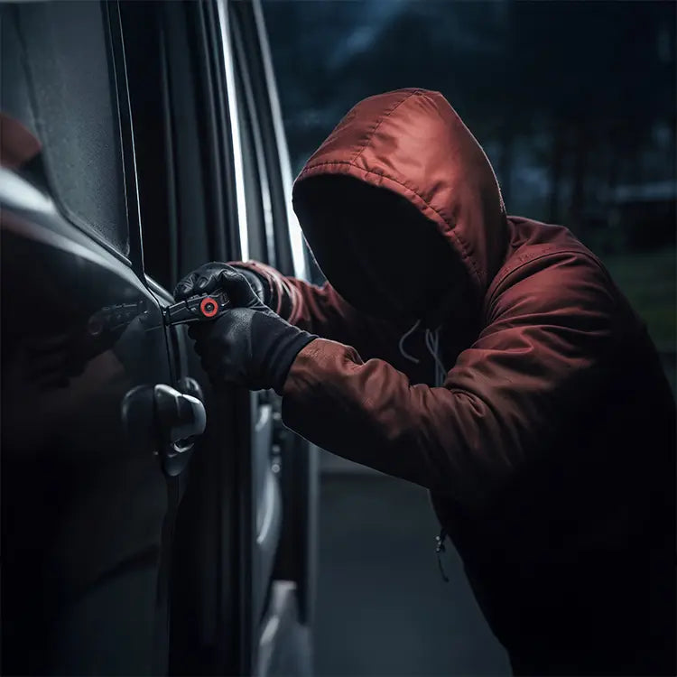 /en/collections/anti-theft