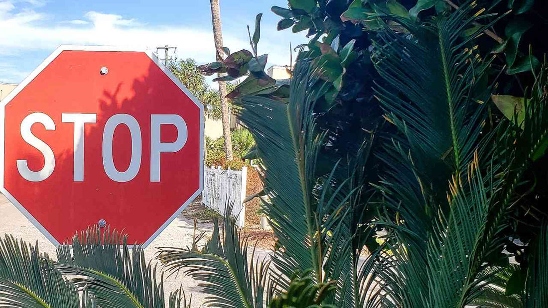 
Effects of Laws and Regulations on the Way We Drive