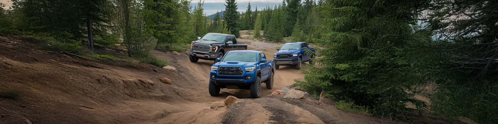 売れ筋トラック