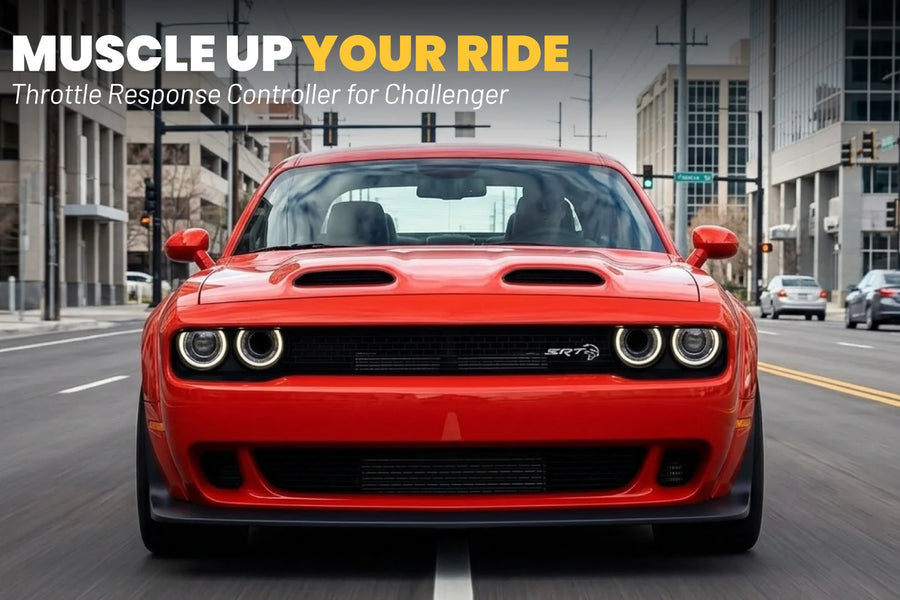 ダッジ チャレンジャー 第3世代 (2008-2023) (3.5L V6 - 5.7L HEMI V8 - 6.1L HEMI V8 - 6.2L ヘルキャットスーパーチャージド V8 - 6.4L HEMI V8)
