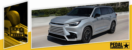 PC55 / レクサス / UX / ZA10 (2019+) / (2.0L)