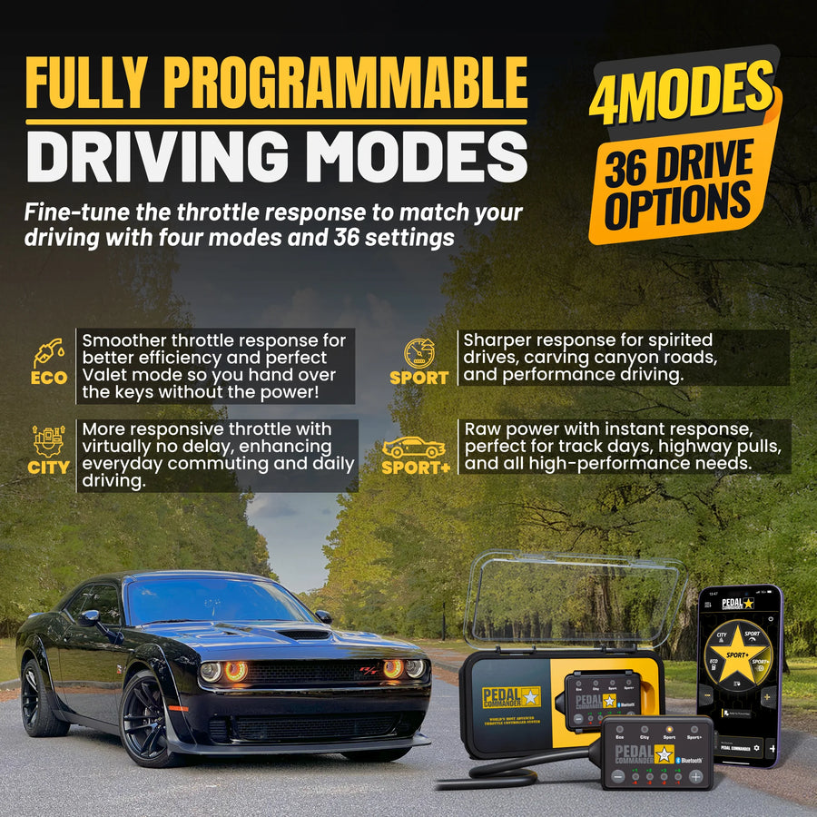 ダッジ チャレンジャー 第3世代 (2008-2023) (3.5L V6 - 5.7L HEMI V8 - 6.1L HEMI V8 - 6.2L ヘルキャットスーパーチャージド V8 - 6.4L HEMI V8)
