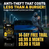 gallery-theft-stinger