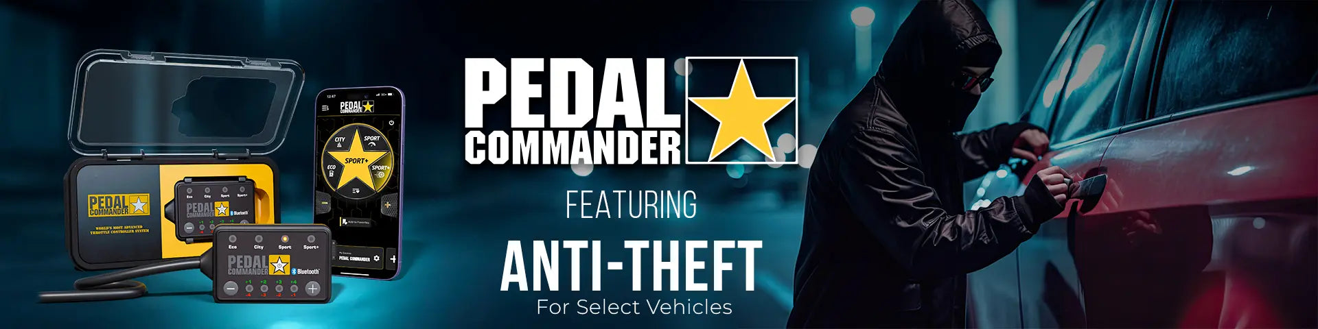 Pedal Commander 盗難防止